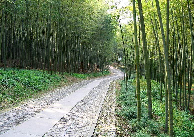 Pověstný bambusový les